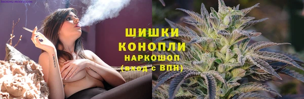 СК Аркадак